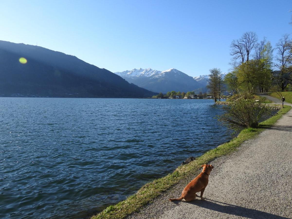 Pension Alpenrose Zell am See Exterior foto