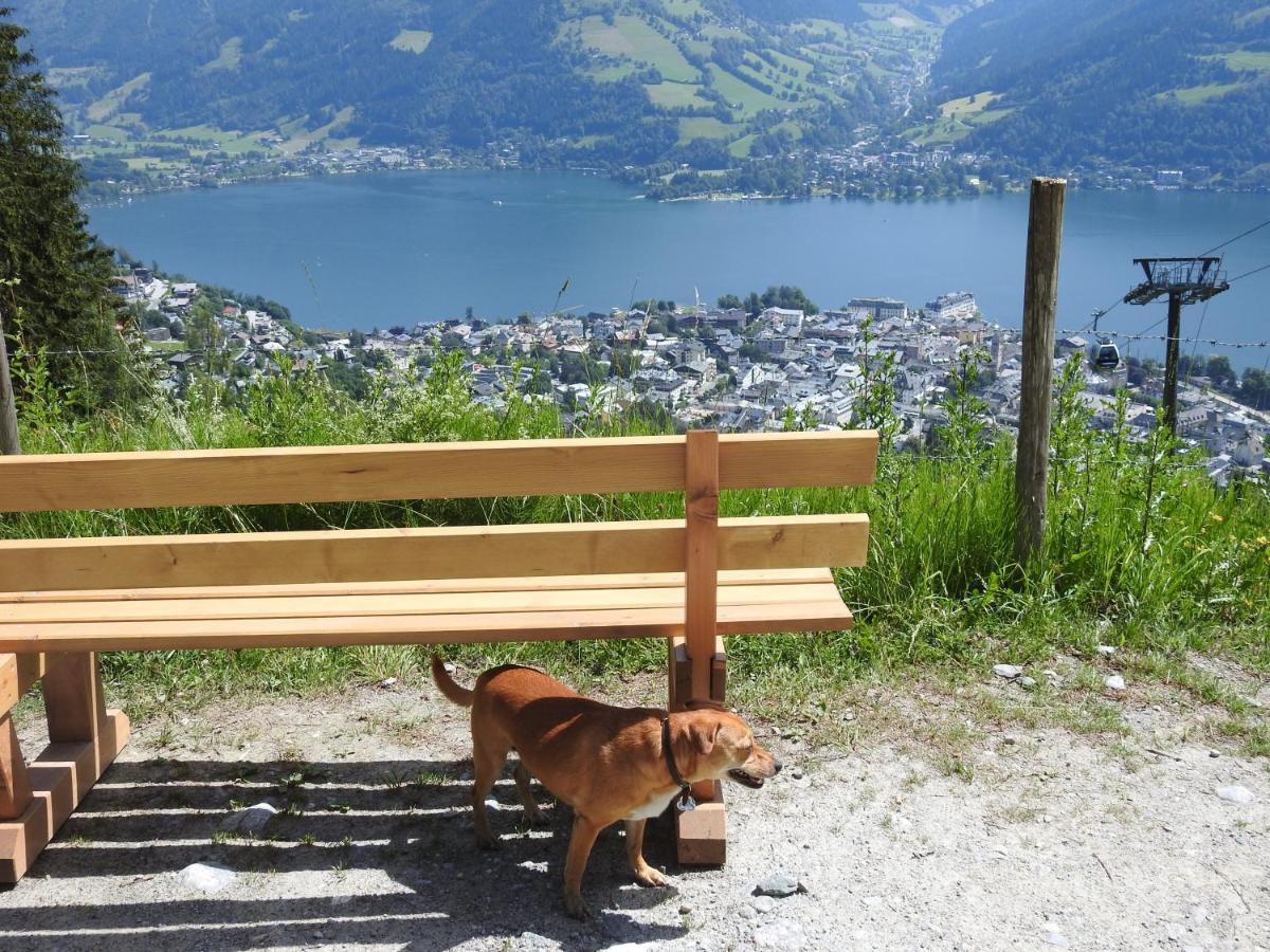 Pension Alpenrose Zell am See Exterior foto