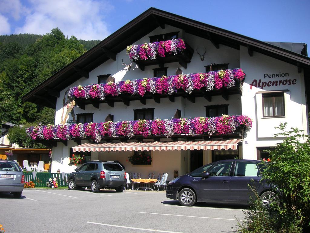 Pension Alpenrose Zell am See Exterior foto