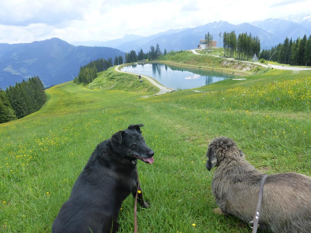 Pension Alpenrose Zell am See Exterior foto