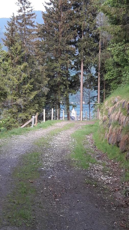 Pension Alpenrose Zell am See Exterior foto