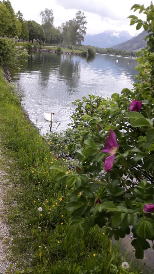 Pension Alpenrose Zell am See Exterior foto